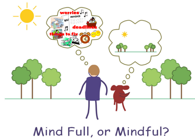 Online Mindfulness Course